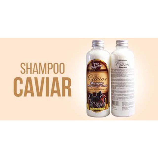 CAVIAR SHAMPOO 250ml ORIGINAL BPOM - SHAMPO KUDA 250 ml