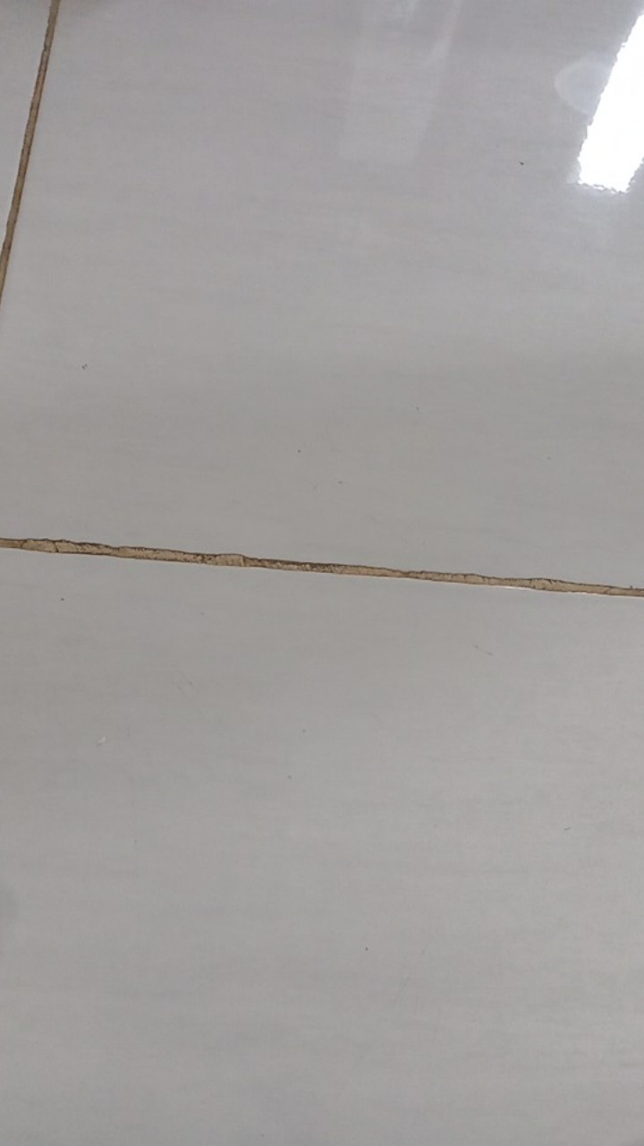 Kuas Cat Tembok Besi Kayu Eterna 4 Inch