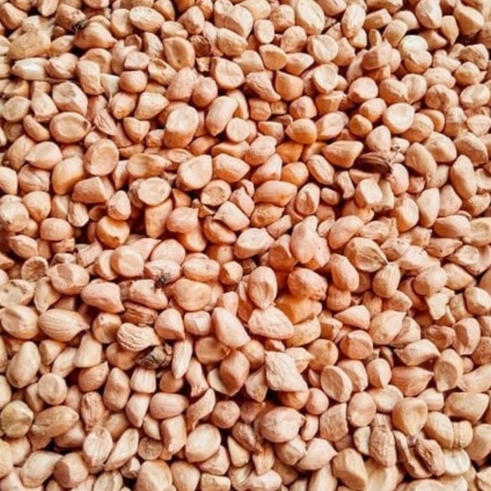 

kacang pertanian lokal pasar online makassar