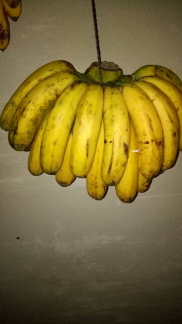 

pisang barangan