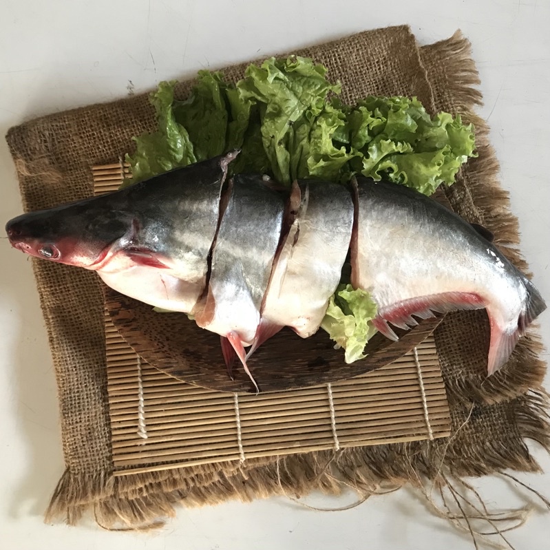 

Ikan Patin potong / Mracang Market