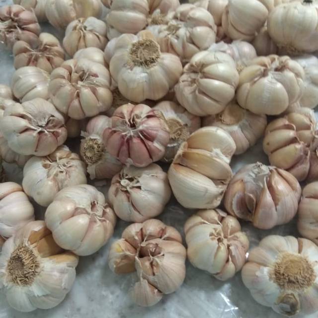 

Bawang Kating (1kg)