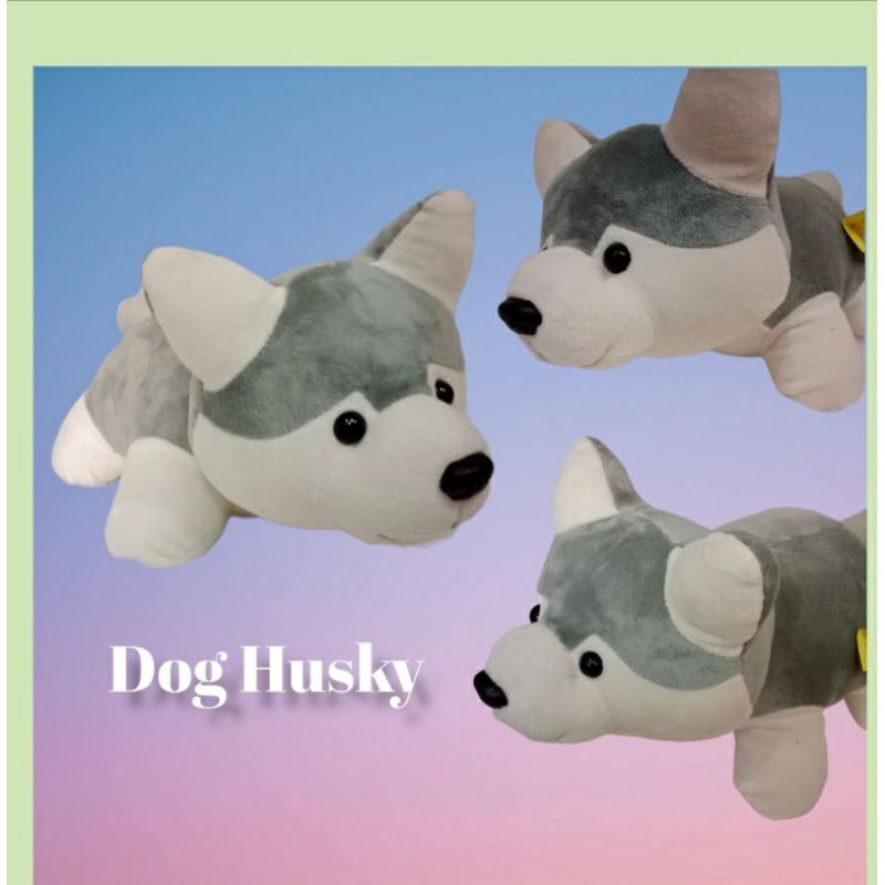 Boneka Dog Husky Lucu Boneka Anak Boneka Anjing Boneka Lucu Hadiah Anak Hadiah Boneka Kado Anak Kado Boneka Hadiah lucu anak