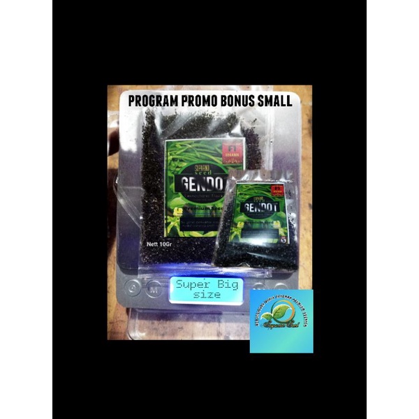 BENIH GENJER  JUMBO F1