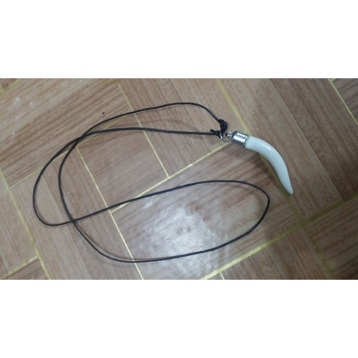 Kalung model taring    DW