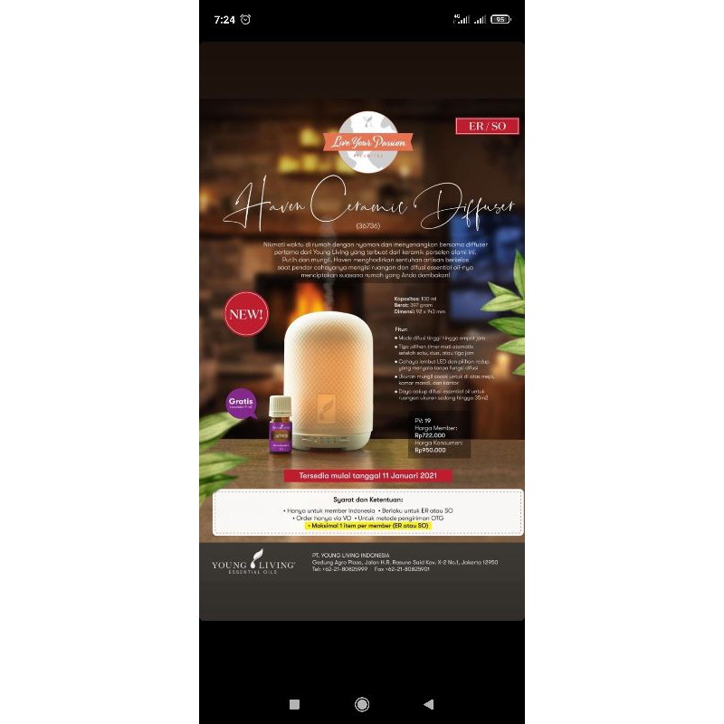 Haven Ceramic Diffuser/ young living