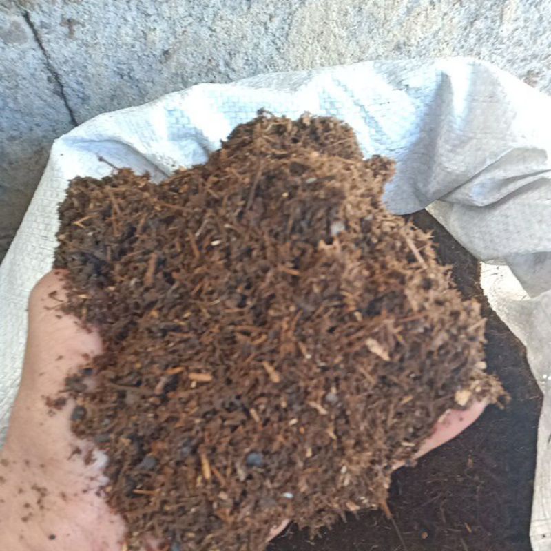 humus/kompos daun bambu halus