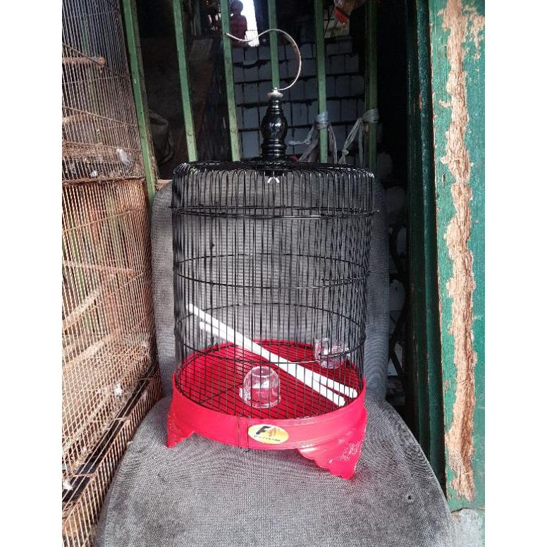 Sangkar Lovebird Pendek F1 Diameter 33 Cm - Sangkar Burung Kenari Lovebird