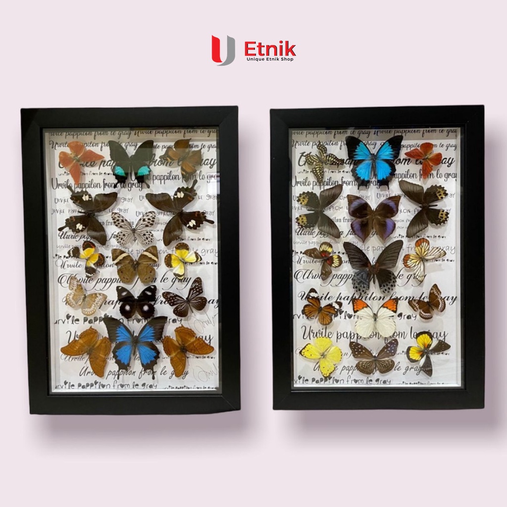 Pajangan Kupu2 Asli / Pajangan Dinding Bingkai Kupu2 / Hiasan Dinding Rumah Estetik