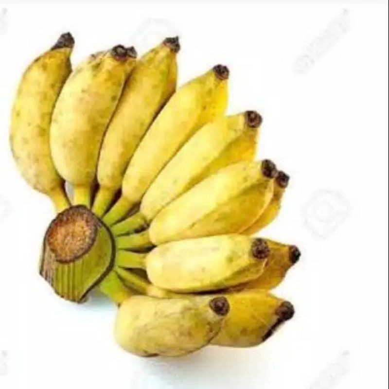 

pisang awak / gedhang uter