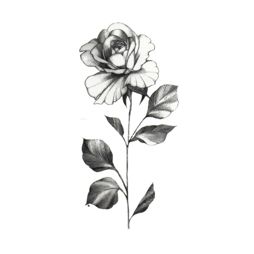 

POTATOO Yejin Black And White Rose Temporary Tatto Sticker