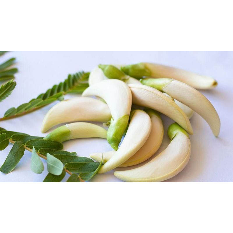 

bunga turi untuk sayur