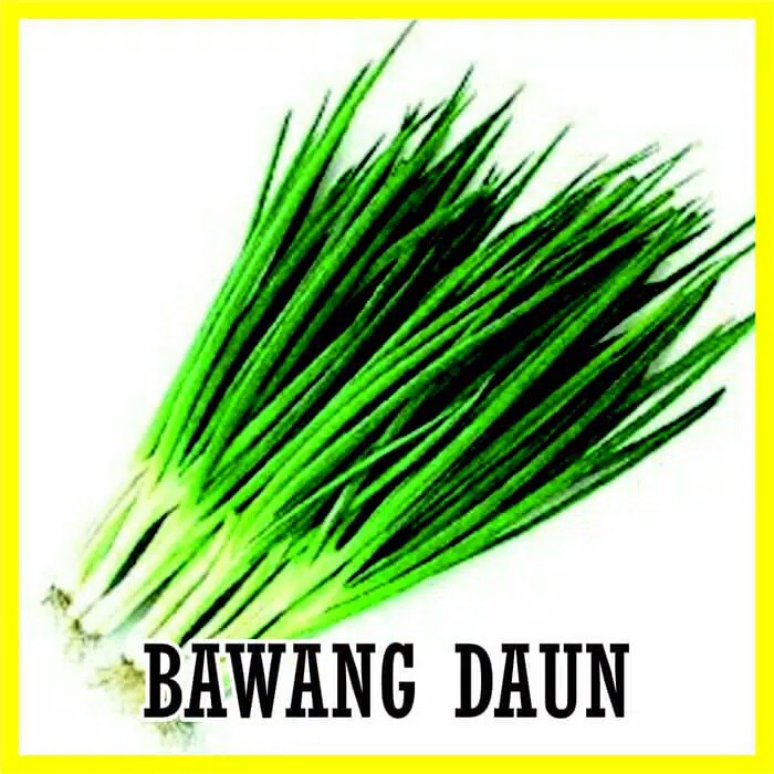 Jual Benih Biji Bawang Daun Hidroponik Shopee Indonesia