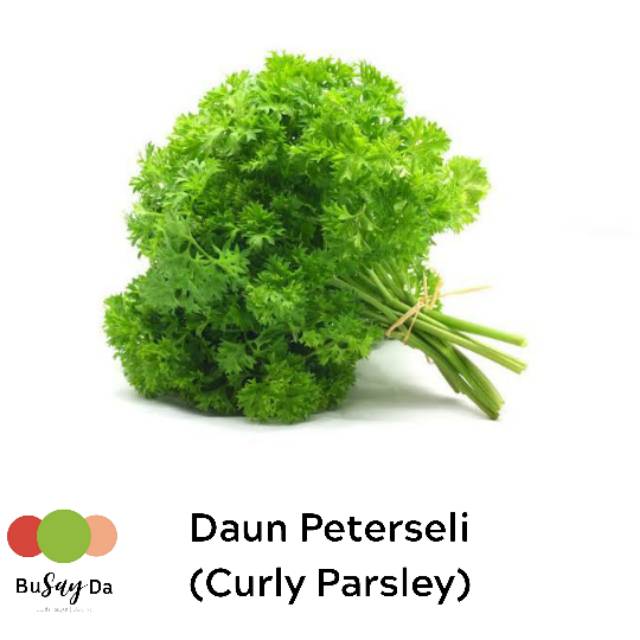 

Daun Parsley fresh Parseley Daun Peterseli 200 gr segar | Busayda