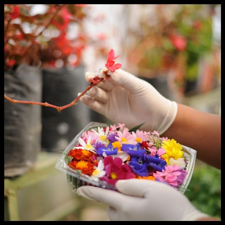 

TERBARUU!! Edible Flower Amazing Farm TERBARU