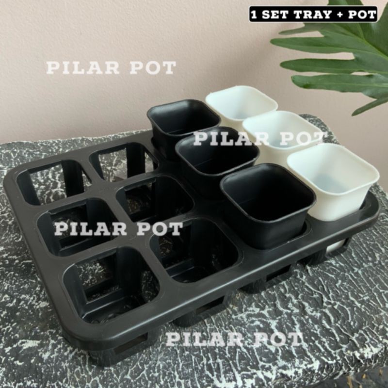 1 set Tray + pot bunga tanaman nkt kotak 5cm | tray semai bibit