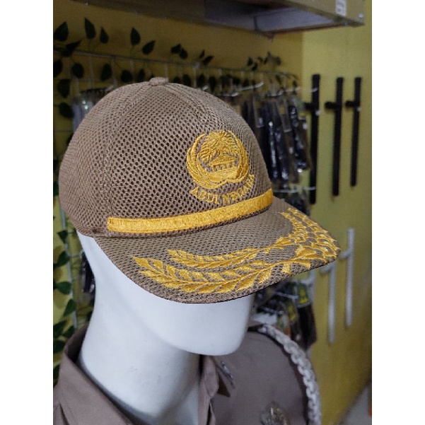 TOPI PNS / ASN
