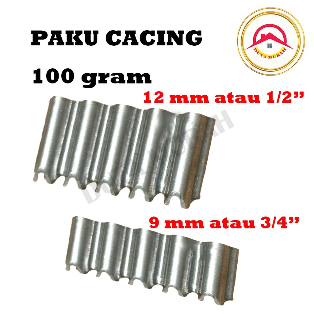 Paku Cacing 9 mm / 12 mm isi 100 Gram /Paku Papan Pecah