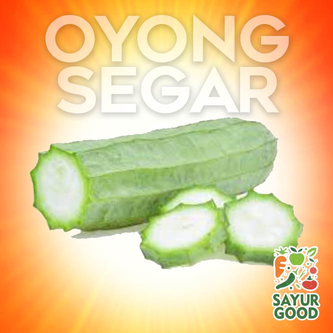 

Oyong Sayur Segar / Gambas Sayur Fresh 500 gram (Sayur Segar)