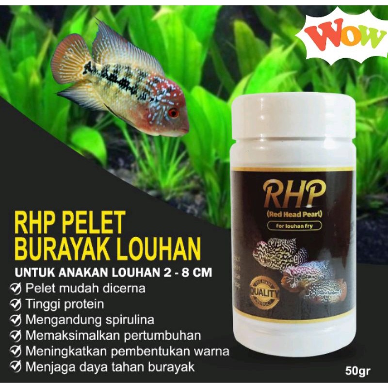 Pelet Premium Burayak Ikan Louhan RHP  3in1 komplit