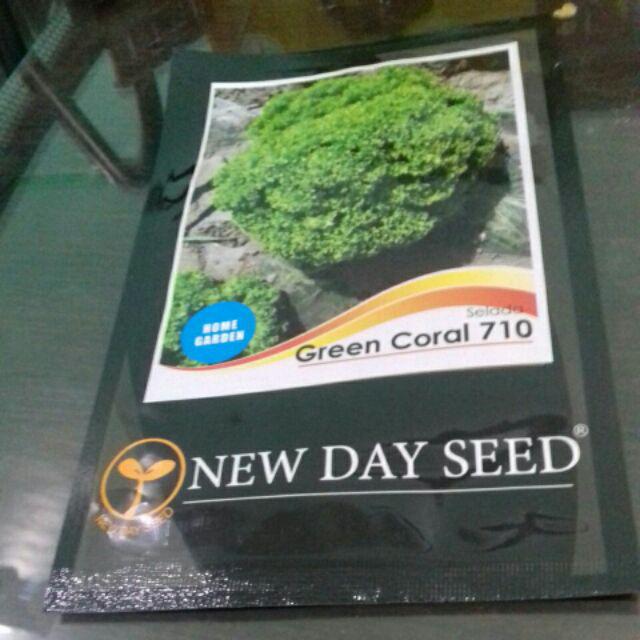 Benih Bibit Selada Green Coral Leaf Lettuce New Day Seed Nds Kemasan Asli