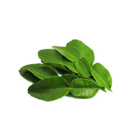

Daun Jeruk