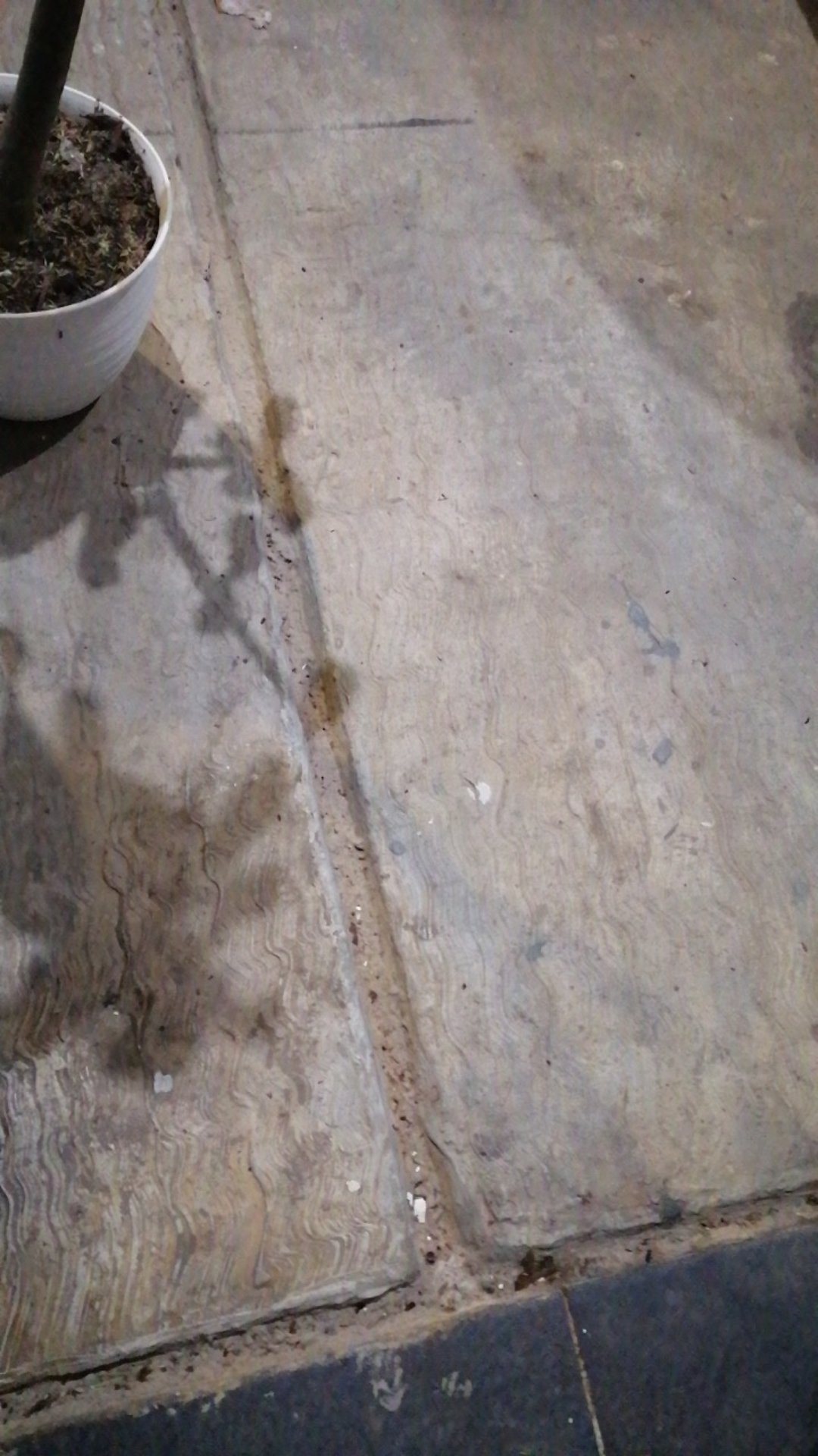 Selang Shower Fleksibel 150cm Chrome / Selang Air Mandi Closet Toilet / Selang Shower Mandi