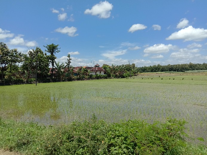 Hem Batik Anak Baju Anak Cowok Terlaris
