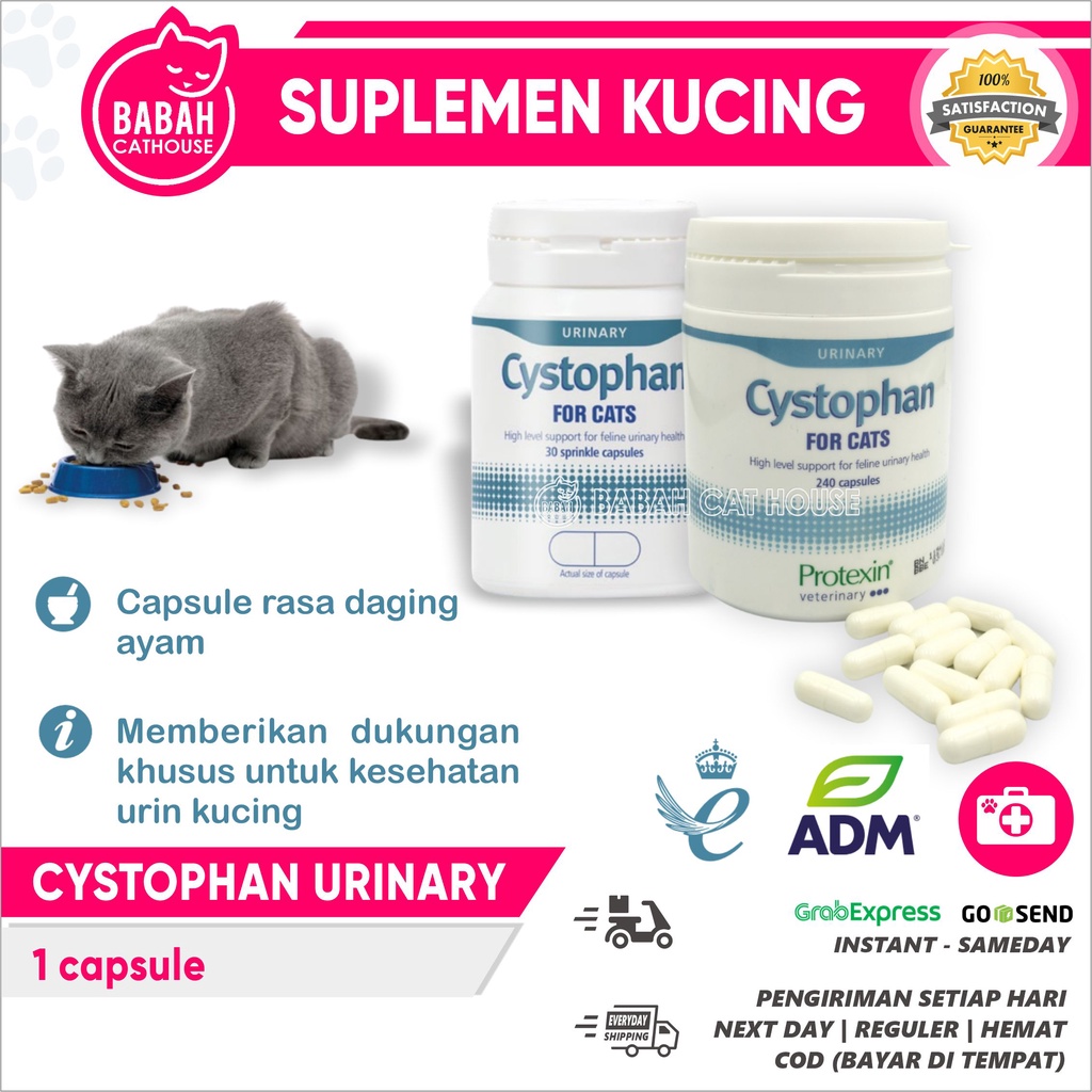 CYSTOPHAN CAT Urinary Obat Saluran Kemih Kencing Kucing Ampuh Murah Cystopan For Cats Untuk Adult An