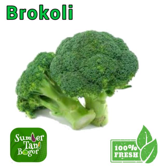 

BROKOL SEGAR PER 500 GRAM