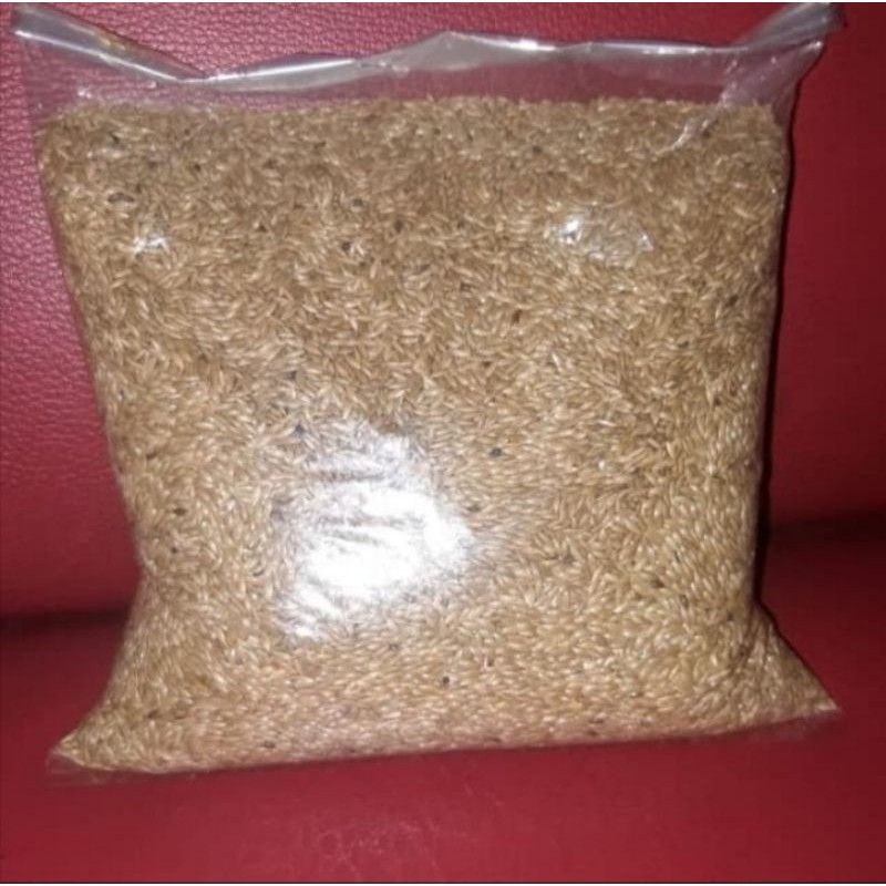kenari seed 500 gram /kenari seed pakan burung kenari