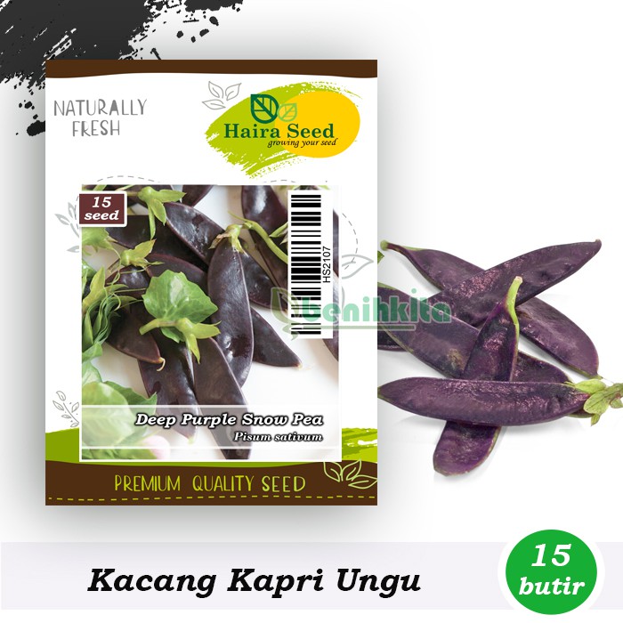 Benih-Bibit Kacang Kapri Deep Purple Snow Pea (Haira Seed)