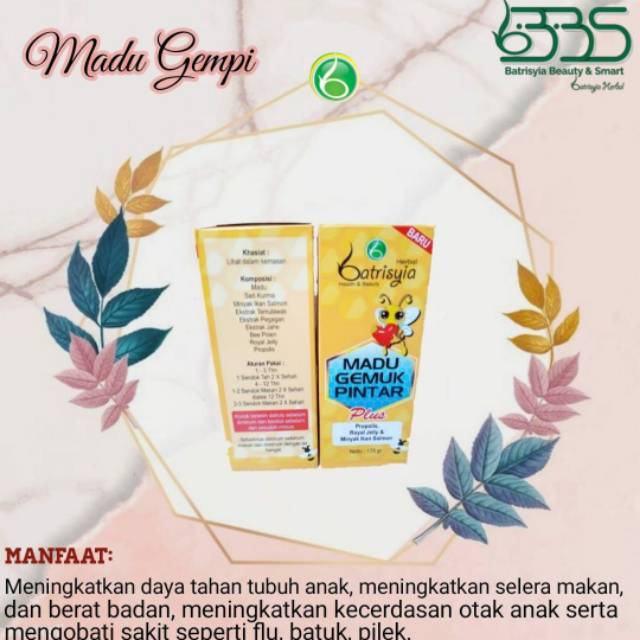 

Madu gemuk pintar ( madu gempi ) Batrisyia