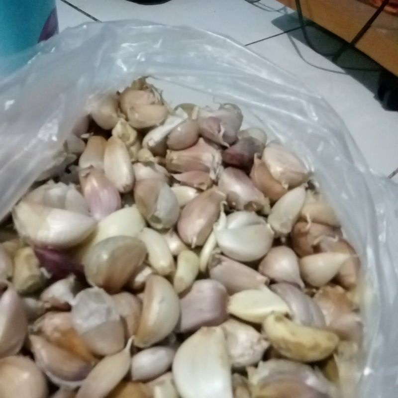 

bawang putih pretelan