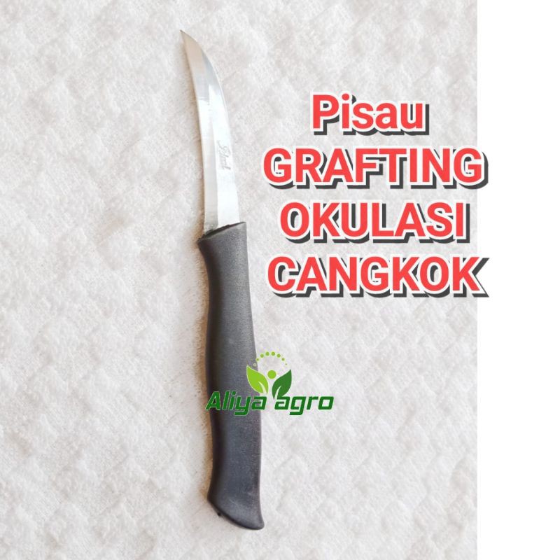 PISAU GRAFTING OKULASI