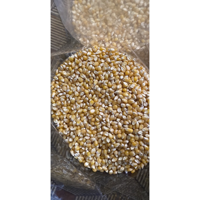 

ds201fs Jagong - Jagung Popcorn Mentah 250Gr Dscscv