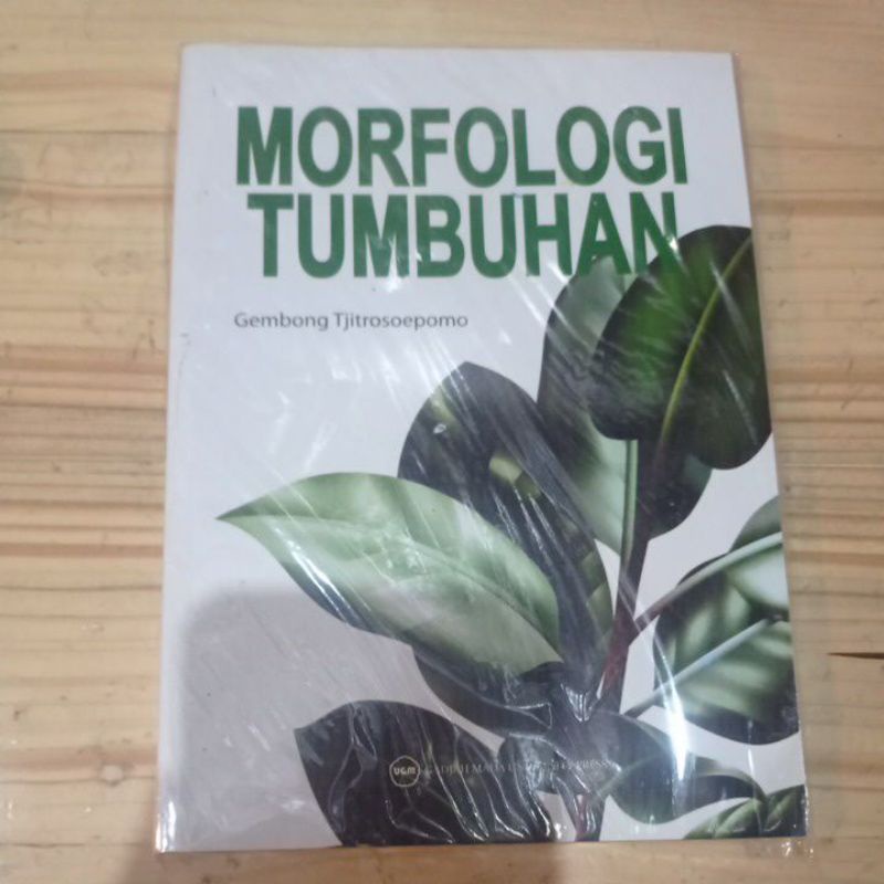 

morfologi tumbuhan by gembong