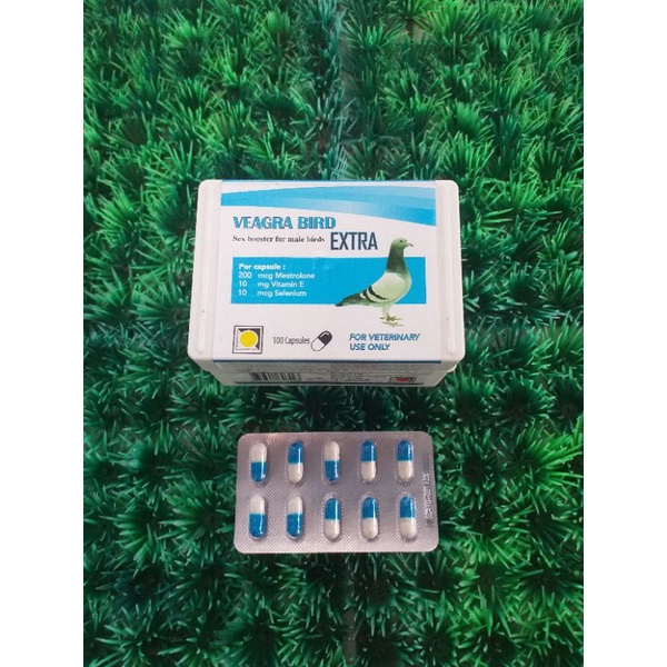 VEAGRA BIRD EXTRA MERPATI UNTUK JANTAN TELOR BENING JUAL 1TABLET