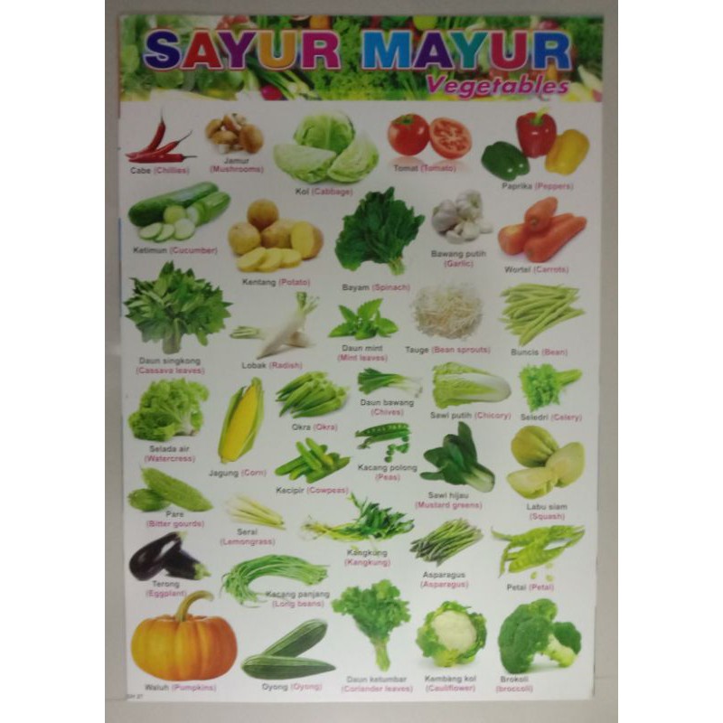 Poster edukasi sayur dan buah buahan belajar anak