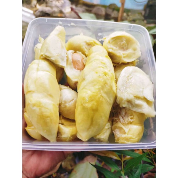 

DURPAS (Durian Kupas)