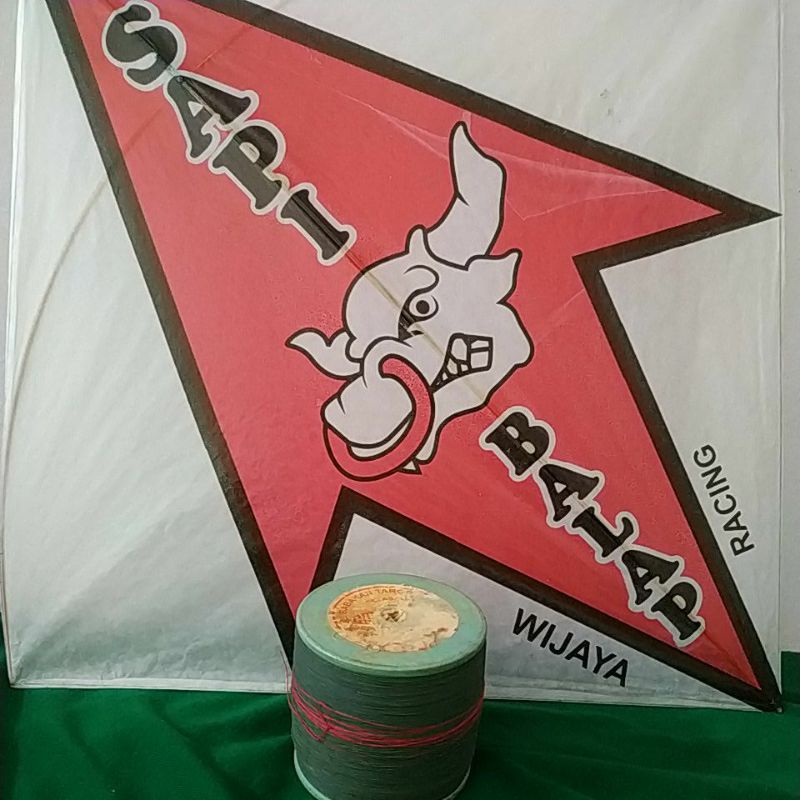 Huwi 2005 Klos Kodok