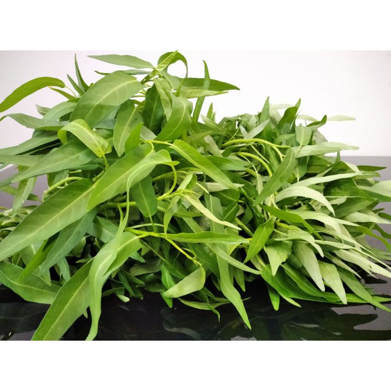 

Kangkung hidroponik / pack @ 200gr