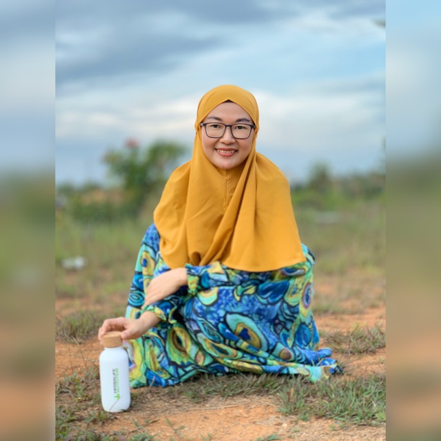 lina.link2