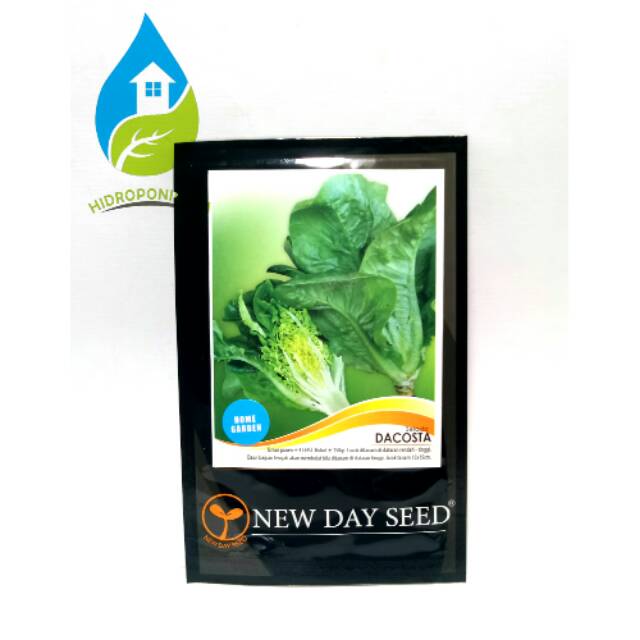 NDS - benih SELADA DACOSTA isi 1 gram - benih selada romaine - green romaine - new day seed