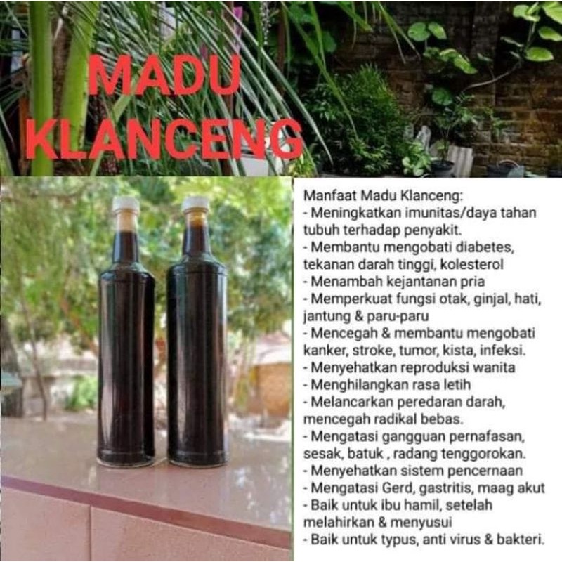 

MADU ASLI MURNI 100% | Madu Klanceng Asli Wonosalam