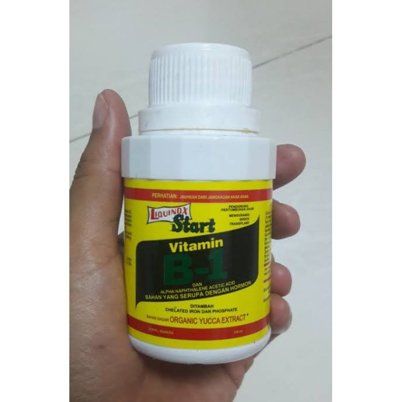 Vitamin Tanaman B1