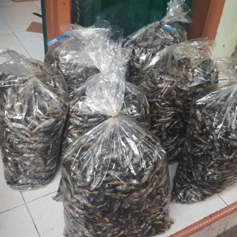 

IKAN BILIH 10 kg