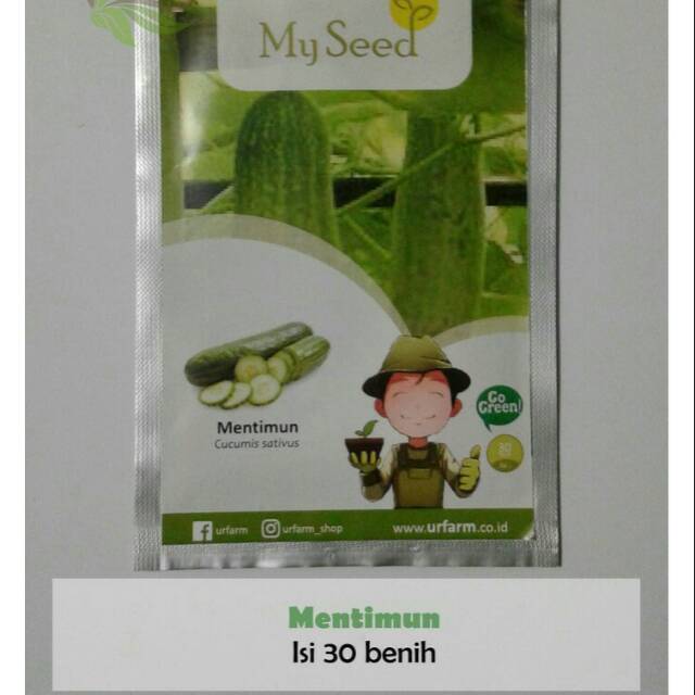 

Benih Mentimun Murah