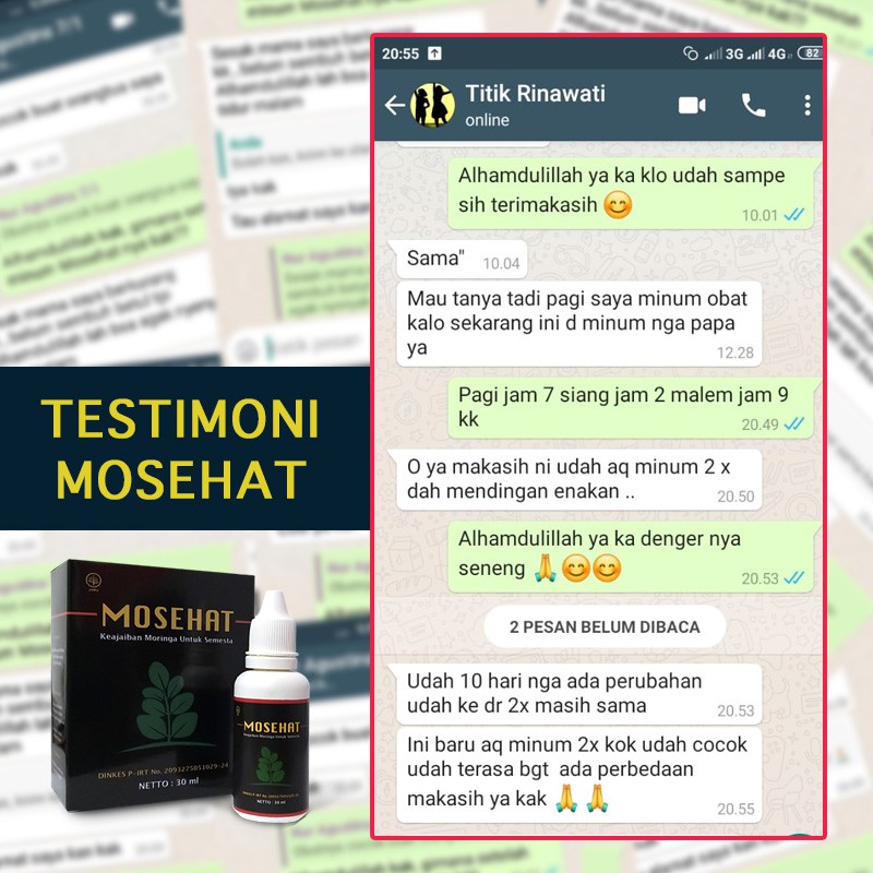 Obat Vertigo Herbal Ampuh MOSEHAT