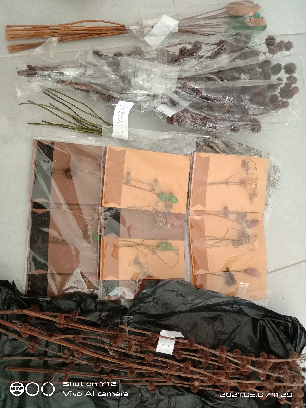 Aneka Bunga Kering/ Dried Flower/ Bunga Kering